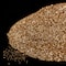 12 Pack: Extra Fine Glitter by Recollections™, 1.5oz.